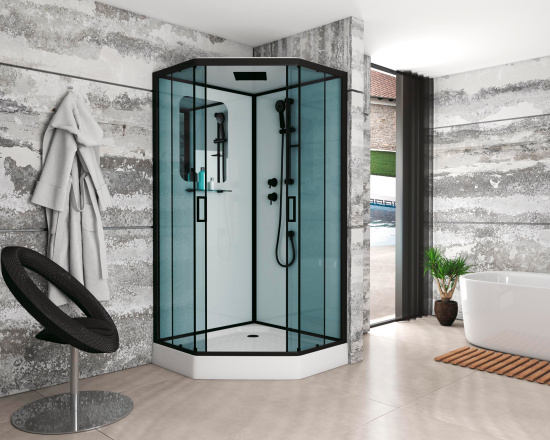 Душевая кабина Niagara Premium NG-6901-01D Black 90x90