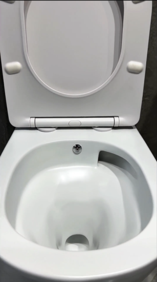 Унитаз подвесной Boheme Avva 973-SET-2-W с функцией биде и сидением микролифт