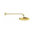 Верхний душ Webert AC0013010METAL, золото Верхний душ Webert AC0013010METAL, золото