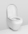 Унитаз подвесной Am.Pm Spirit V2.0 C701739WH