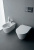Крышка-сиденье Laufen Kartell 8.9133.1.000.000.1 с микролифтом, петли хром Крышка-сиденье Laufen Kartell 8.9133.1.000.000.1 с микролифтом, петли хром