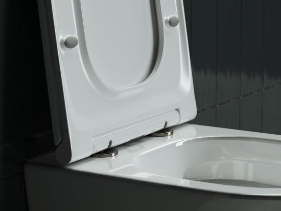 Подвесной унитаз Ceramicanova Forma Rimless CN3011