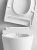 Инсталляция Geberit Duofix Delta 458.124.21.1 3 в 1 с кнопкой смыва + унитаз подвесной Roca Inspira in-wash