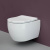 Подвесной унитаз Ceramicanova Play CN3001T с сидением