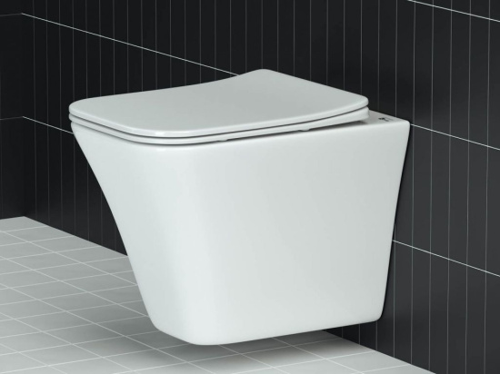 Подвесной унитаз Ceramicanova Mono Rimless CN1902