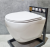 Подвесной унитаз CeramaLux TR0199BD