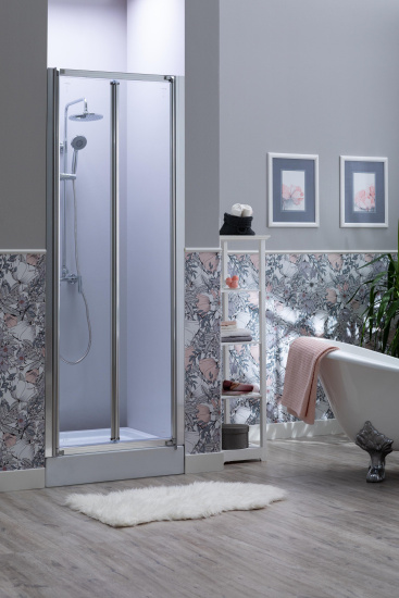 Душевая дверь в нишу Aquanet Alfa 210018