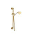 Душевой гарнитур Webert Shower Set AC0385010, золото