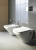 Крышка-сиденье Duravit DuraStyle 0063710000 петли хром