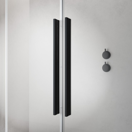 Душевой уголок Radaway Furo Black KDD 110х80