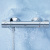 Душевой комплект Grohe Grohtherm 800 34558000 + 26381001