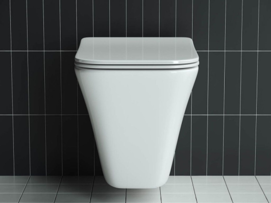 Подвесной унитаз Ceramicanova Mono Rimless CN1902
