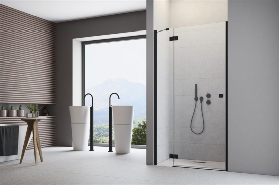 Душевая дверь в нишу Radaway Essenza New Black DWJ 80 L