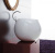 Накладная раковина Disegno Ceramica Sfera SF05600101 Накладная раковина Disegno Ceramica Sfera SF05600101