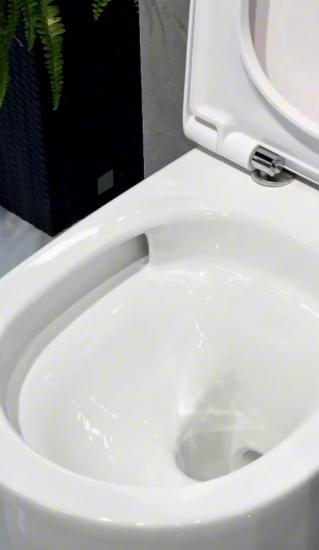 Унитаз подвесной Boheme Flow 969-SET-D с сидением