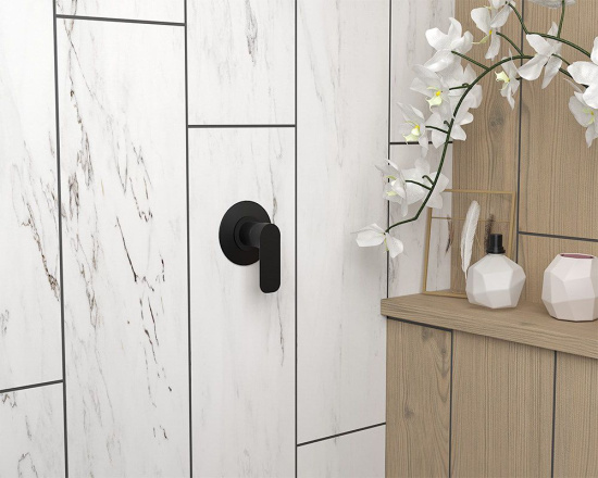 Смеситель для душа Paini Nove 09PZ690 с внутренней частью