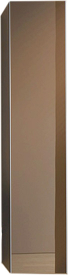 Пенал Keuco Royal Reflex трюфель R