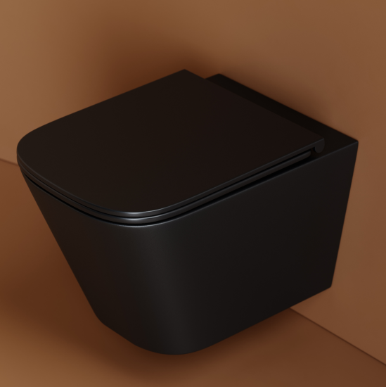 Подвесной унитаз Ceramicanova Union CN4009TMB