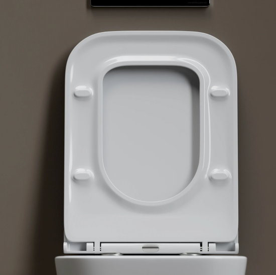 Подвесной унитаз Ceramicanova Пьетро (Pietro) CN4015T