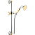 Душевой гарнитур Webert Shower Set AC0384017, хром/золото