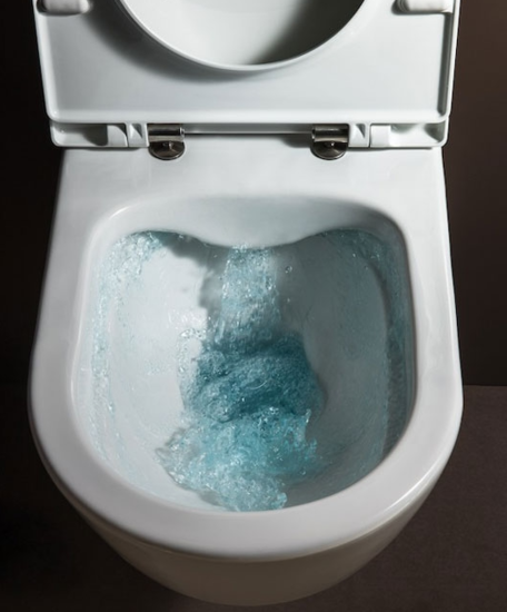 Унитаз подвесной Laufen Pro Rimless 8.2096.6.000.000.1 с сидением