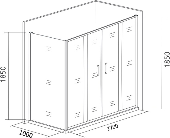 Душевой уголок Good Door Latte WTW-TD+SP-100-C-WE 170х100
