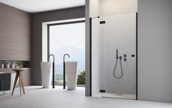 Душевая дверь в нишу Radaway Essenza New Black DWJ 110 L