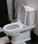Унитаз-компакт Villeroy & Boch Hommage 6662 10 R1 alpin