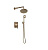 Душевой комплект Bronze de Luxe 10138F