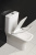 Унитаз-компакт BelBagno Romano BB248CPR-P