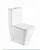 Унитаз-компакт WeltWasser SK Rotbach 001 MT-WT белый матовый