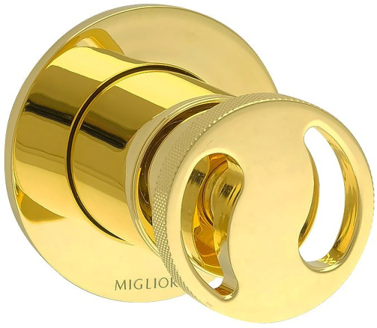 Смеситель для душа Migliore Reversa 28202 с внутренней частью, золото