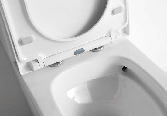 Унитаз-компакт CeramaLux NS-2178