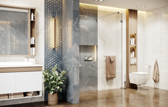 Душевая перегородка Ambassador Walk-In 15031106 100 см