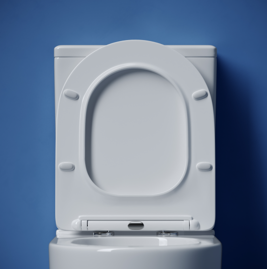 Унитаз-компакт Ceramicanova Метрополь (Metropol) Rimless CN4001T