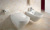 Крышка-сиденье Villeroy & Boch Sentique 98M8 S101 белый альпин, с микролифтом, петли хром
