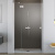 Душевая дверь в нишу Radaway Essenza New DWJ 80 L