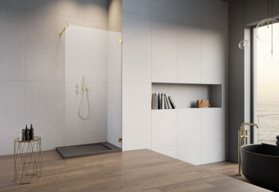 Душевая перегородка Radaway Essenza Pro 8 Gold Walk-in 100x200