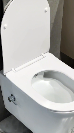 Унитаз подвесной Boheme Avva 973-SET-2-W с функцией биде и сидением микролифт