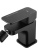 Смеситель для биде Wonzon & Woghand Arnie WW-695001-MB