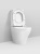 Унитаз-компакт Am.Pm Inspire C508607WH