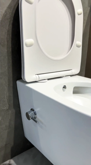 Унитаз подвесной Boheme Avva 973-SET-2-W с функцией биде и сидением микролифт