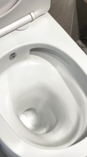 Унитаз подвесной Boheme Avva 973-SET-2-W с функцией биде и сидением микролифт