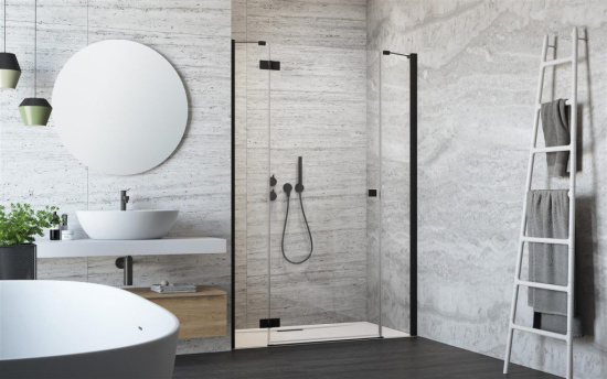 Душевая дверь в нишу Radaway Essenza New Black DWJS 110 L