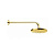 Верхний душ Webert AC0013010METAL, золото