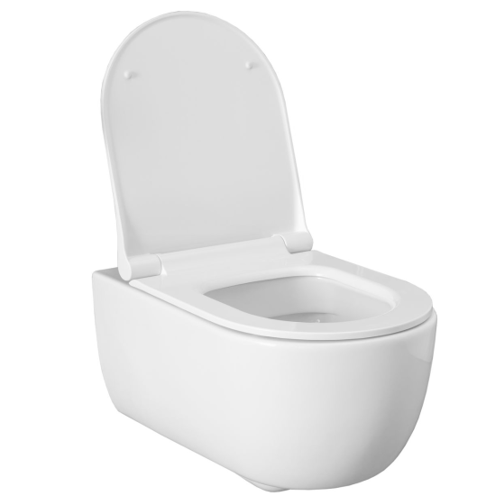 Унитаз подвесной Allen Brau Priority 4.31001.20