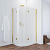 Душевой уголок Vegas Glass AFS-F 120*100 09 10 R профиль золото глянцевое, стекло сатин