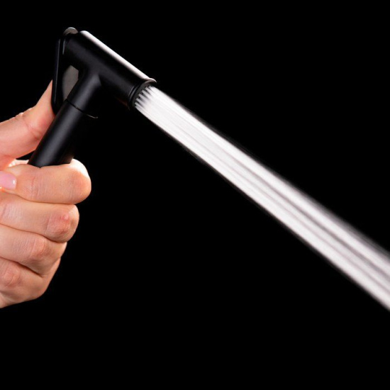 Гигиенический душ Iddis Bidet Hand Shower 020BBLGi20