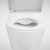 Инсталляция Geberit Duofix Delta 458.124.21.1 3 в 1 с кнопкой смыва + унитаз подвесной Roca Inspira in-wash