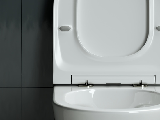 Подвесной унитаз Ceramicanova Forma Rimless CN3011